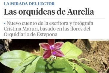 “Las Orquídeas de Aurelia” nuevo cuento de la escritora y fotógrafa para La Vanguardia.